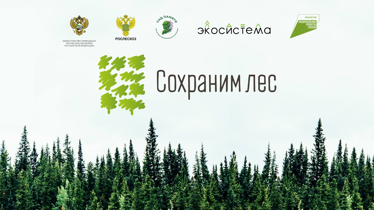 Дан старт акции «Сохраним лес»