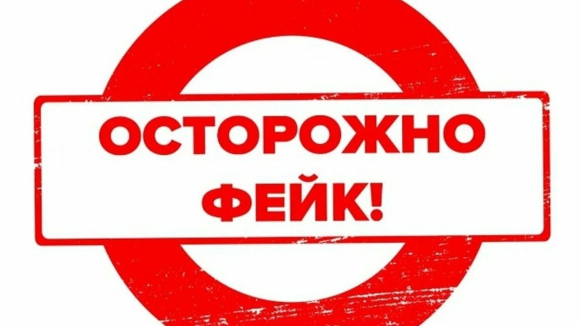 Цунами, ядовитые пауки и «взрыв» на Крымском мосту: какими вбросами пугали россиян в 2025 году
