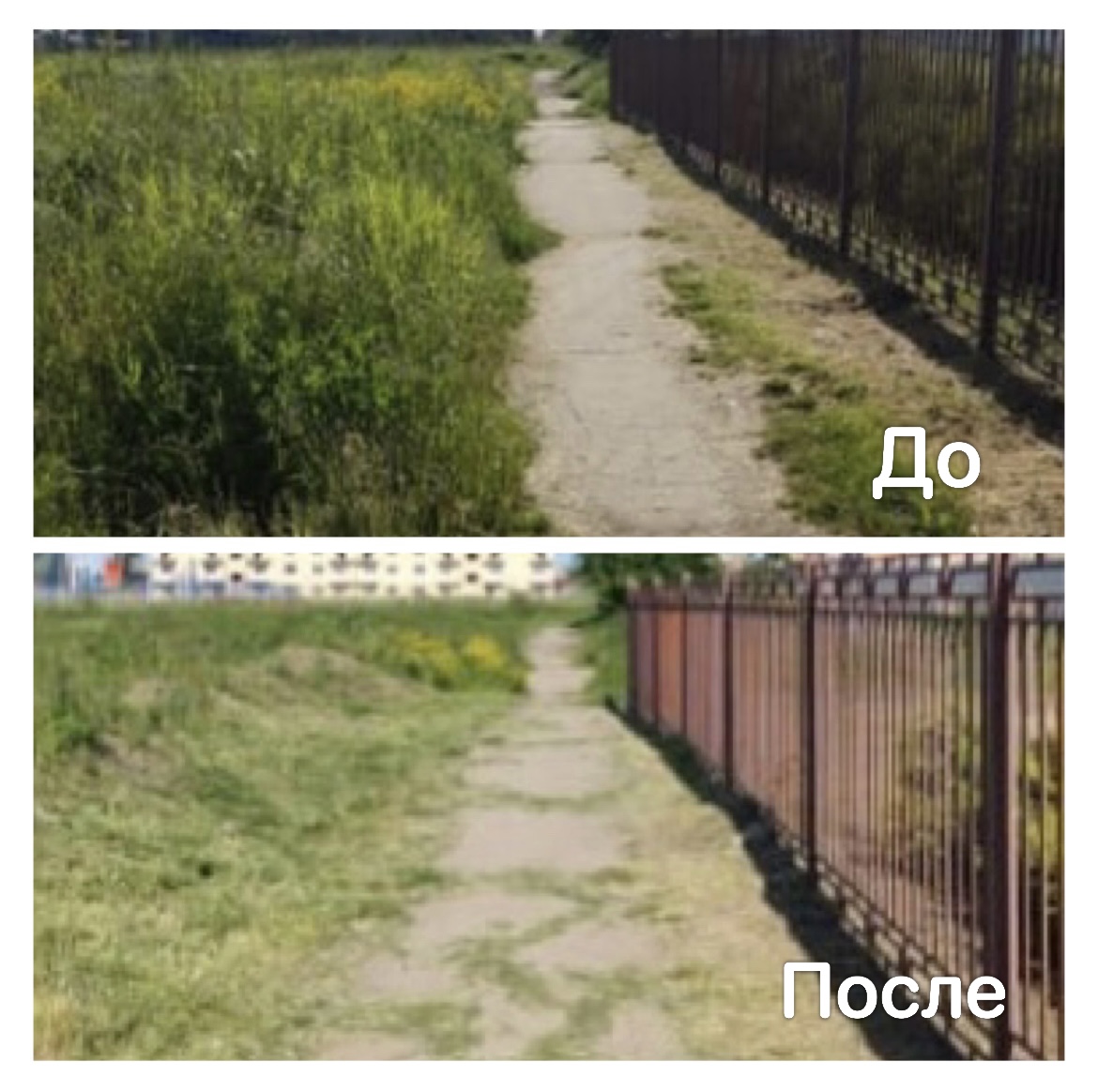 Быстро и удобно: госпаблики помогают решать проблемы