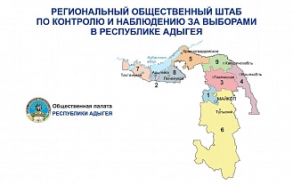Общественный контроль за ходом выборов 