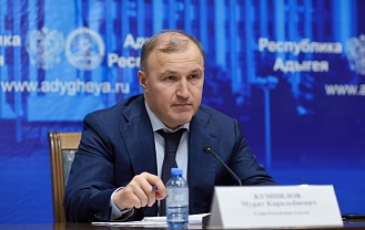 Мурат Кумпилов принял участие в заседании рабочей группы Государственного совета РФ