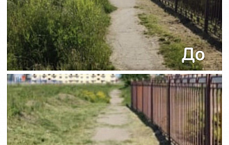 Быстро и удобно: госпаблики помогают решать проблемы