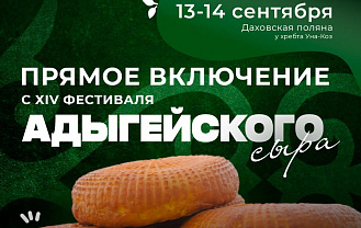 Фестиваль, который стоит попробовать: адыгейский сыр объединяет традиции и вкусы
